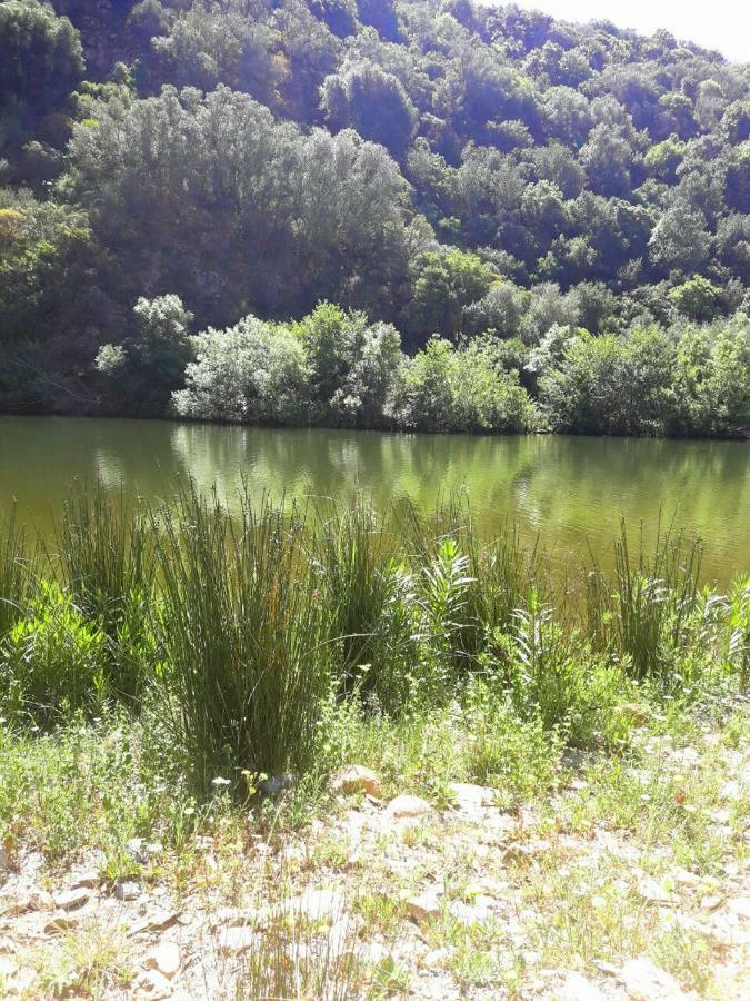 Su Carreri Bed & Breakfast Armungia Bagian luar foto